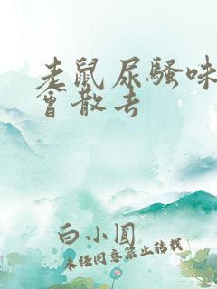 老鼠尿骚味多久会散去