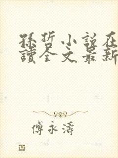 孙哲小说在线阅读全文最新