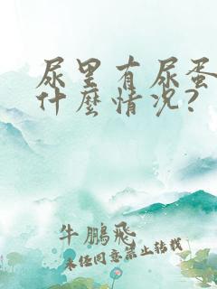 尿里有尿蛋白是什么情况?