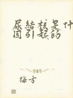 尿结核是什么原因引起的