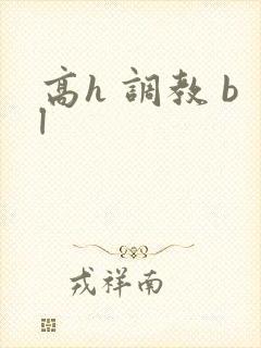 高h 调教 bl
