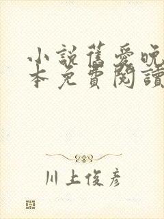 小说旧爱晚成全本免费阅读