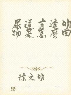 尿道有透明分泌物是怎么回事