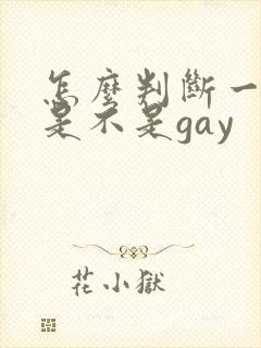 怎么判断一个人是不是gay