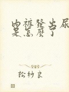 内裤发出尿骚味是怎么了