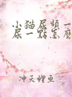 小猫尿频一次只尿一点怎么回事