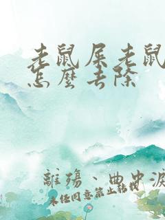 老鼠屎老鼠尿味怎么去除