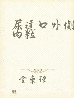 尿道口外侧长小肉粒