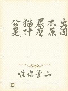 公猫尿不出来尿是什么原因