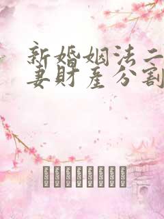 新婚姻法二婚夫妻财产分割