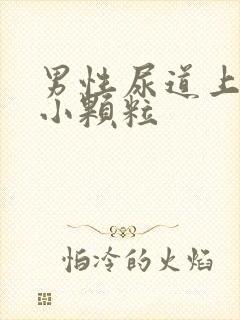 男性尿道上长了小颗粒