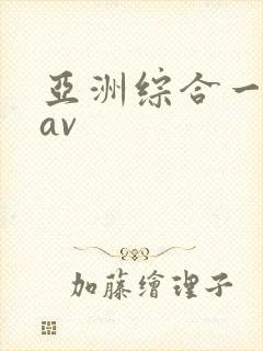 亚洲综合一区二av