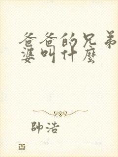 爸爸的兄弟的老婆叫什么