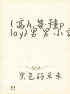 (高h,各种play)男男小说