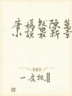 唐嫣然陈万年的小说最新章节阅读