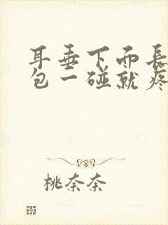 耳垂下面长了个包一碰就疼