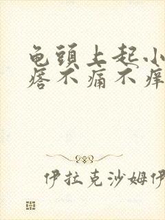 龟头上起小红疙瘩不痛不痒是怎么回事