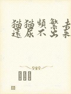 猫猫频繁去尿 还尿不出来