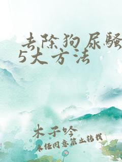 去除狗尿骚味的5大方法