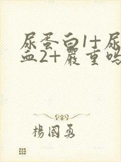 尿蛋白1+尿潜血2+严重吗