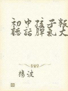 初中孩子叛逆不听话脾气大怎么办