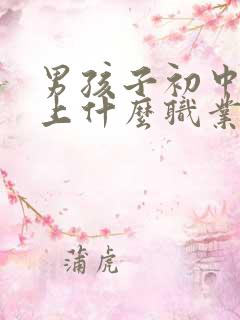 男孩子初中毕业上什么职业学校