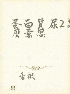 蛋白质尿2是什么意思