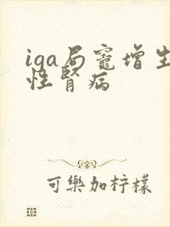 iga局灶增生性肾病