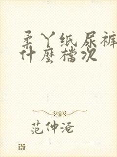 柔丫纸尿裤属于什么档次