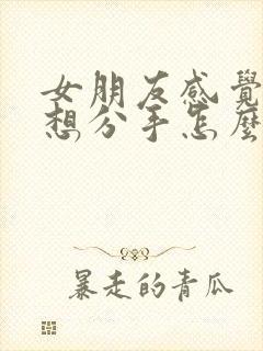 女朋友感觉累了想分手怎么办