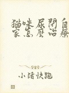 猫咪尿闭自己在家怎么治疗