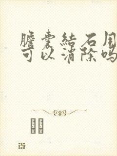 胆囊结石用中药可以消除吗