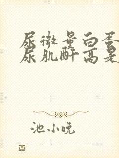 尿微量白蛋白/尿肌酐高是什么意思