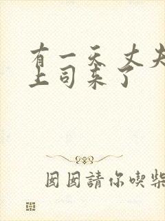 有一天 丈夫的上司来了