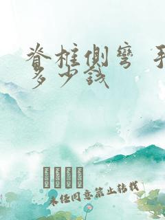 脊椎侧弯 手术多少钱