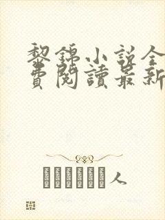 黎锦小说全文免费阅读最新章节