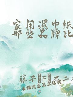 家用湿巾纸都有哪些品牌比较好