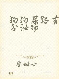 狗狗尿路有黄色分泌物