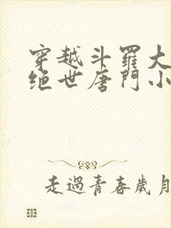 穿越斗罗大陆2绝世唐门小说