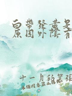 白带发黄是什么原因外阴有点痒