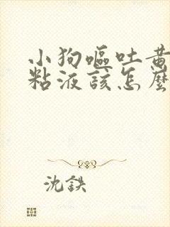 小狗呕吐黄色的粘液该怎么治