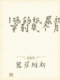 l码的纸尿裤能穿到几个月