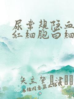 尿常规隐血1十红细胞白细胞偏高