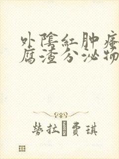 外阴红肿瘙痒豆腐渣分泌物