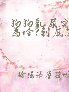 狗狗乱尿究竟是为啥?到底怎么办?