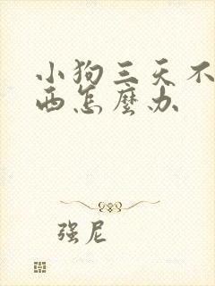 小狗三天不吃东西怎么办