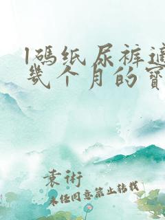 l码纸尿裤适合几个月的宝宝