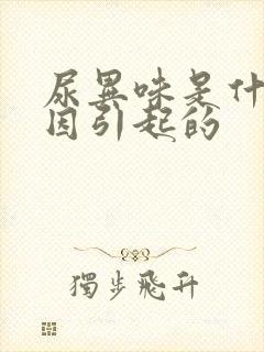 尿异味是什么原因引起的