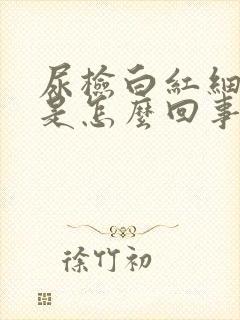 尿检白红细胞高是怎么回事