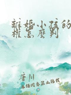 离婚小孩的抚养权怎么判